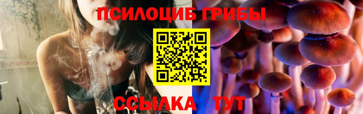 купить наркотик  Галлюциногенные грибы Magic Shrooms  Вход с VPN  Десногорск  Галлюциногенные грибы ЛСД 